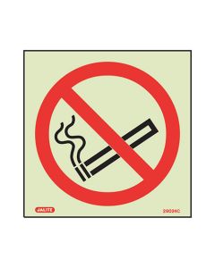 Prohibition No Smoking Sign (8024C/R)