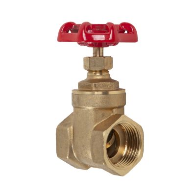 25mm Gate Valve (BGV25)