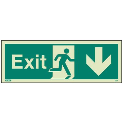 Sign EXIT DOWN Photolum (447K/R)