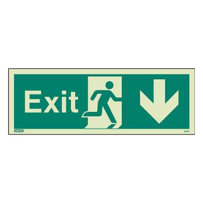 Sign EXIT DOWN Photolum (447T/R)