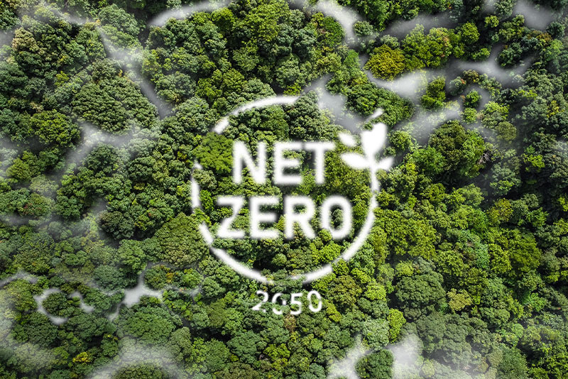 Net-Zero-trees-2050